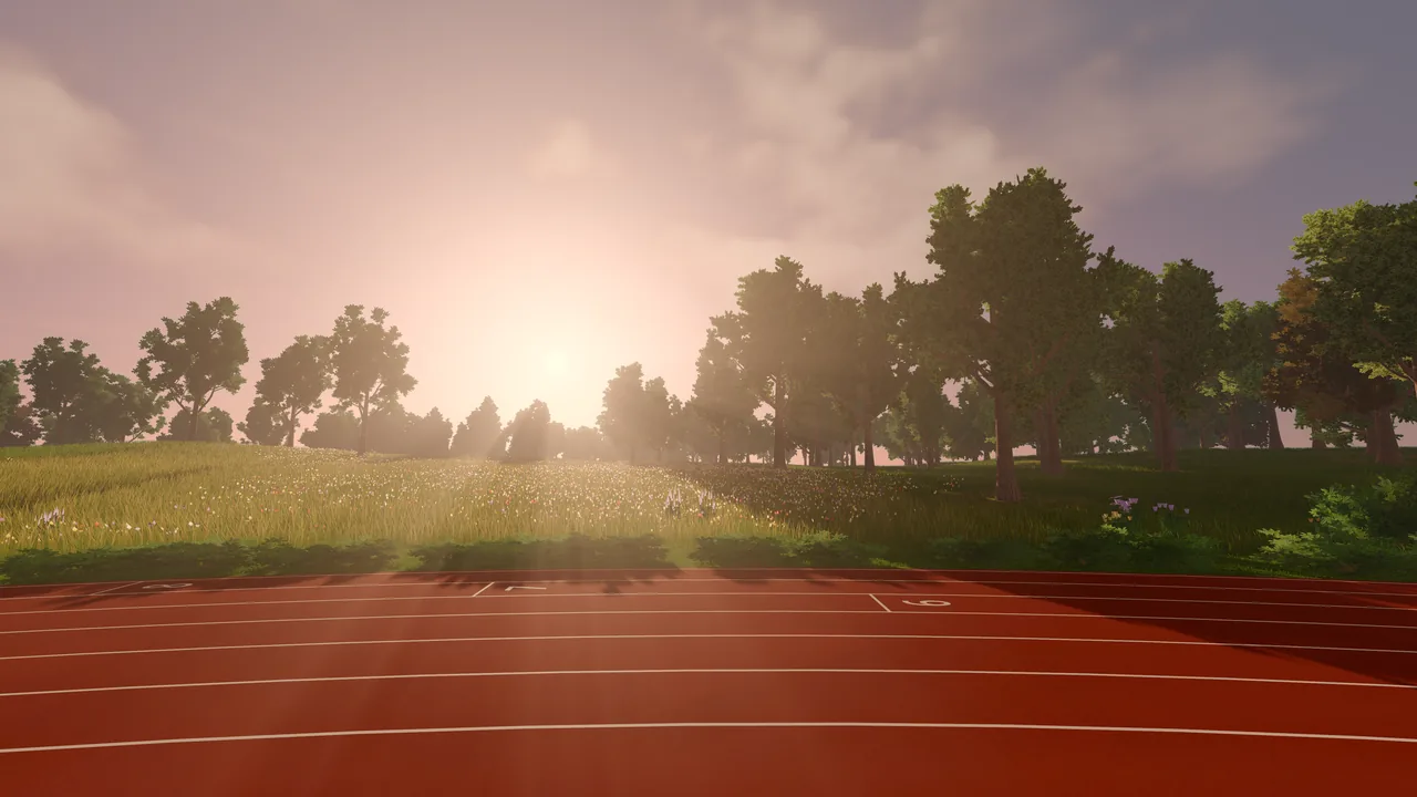 The evening sun breaking through the trees beside the track, its light in shafts across the lanes.