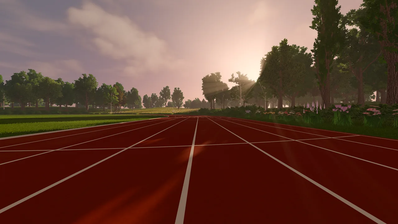 Low over the red track at the finish line, the lanes running away towards a low sun behind poplars.