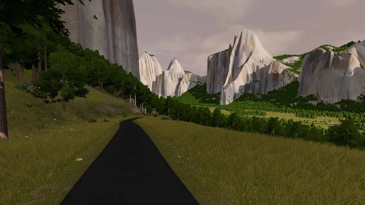 A narrow tarmac lane crossing a hillside meadow high on the valley's north side, the walls beyond.